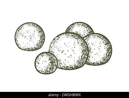 Sketch of topiary conifers. Sheared thuja sphere. Geometric trees for advertising and landscape design. Isolated on white background. Vector Stock Vector