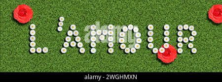 the French word amour, love, written with daisies (Bellis Perennis) Stock Photo