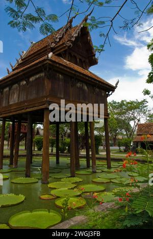 Wooden structure next to lily pads in a pond Stock Photo