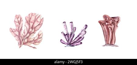 Coral Set. Hand drawn watercolor bundle with tropical underwater life. Polyps. Undersea seabed flora. Colorful illustration for clipart, , aquarium Stock Photo