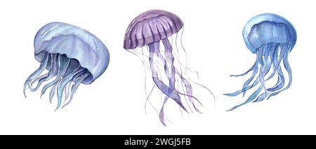 Jellyfish. Watercolor hand drawn illustration of three Jelly Fishes. Blue and violet medusa. Poisonous sea animals. Undersea fish. Foe aquarium design Stock Photo