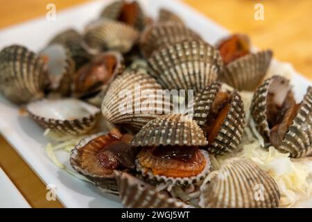 Blood clam served on plate on the table Stock Photo