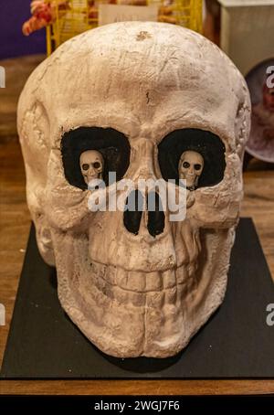 Unusual skeleton skull with two mini skeleton heads in teh eye sockets. Stock Photo