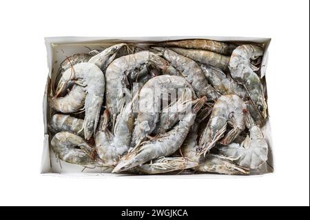 Giant prawns, shrimps in retail pack. Isolated on white background. Top view Stock Photo