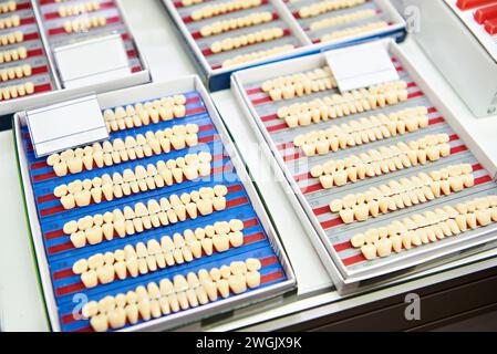 Acrylic double-layer teeth on the counter of the exhibition store Stock Photo