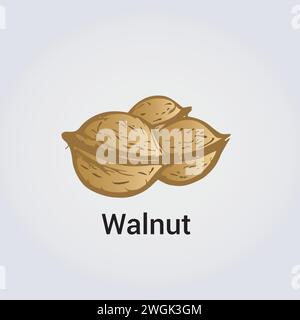 Walnut Fruit Illustration Icon - Vector Design Elements - Hand drawn Stock Vector