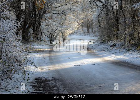 Frozen and snow-covered footpath in the North Holland Dune Reserve in the Netherlands. After a cold night with some wintry showers, nature awakens Stock Photo