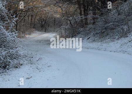 Frozen and snow-covered footpath in the North Holland Dune Reserve in the Netherlands. After a cold night with some wintry showers, nature awakens Stock Photo