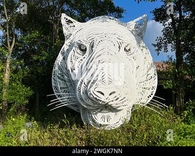 A layered white tiger portrait at Mandai Wildlife Reserve in Singapore. Stock Photo