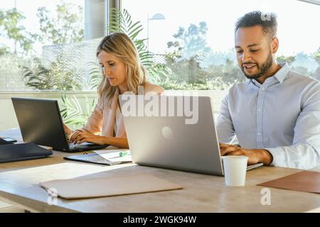 Two coworkers using their laptops while working at the office. Business concept. Stock Photo