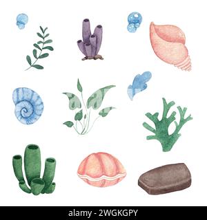 Watercolor set of underwater life objects. Hand painted set with coral and seaweed and stones isolated on white background Stock Photo