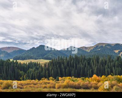 autumn scenery with mountain, forest, trees and bushes in xinjiang, china Stock Photo