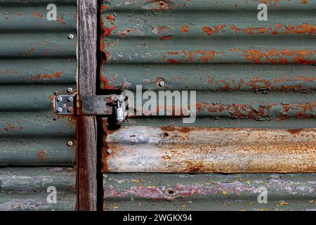 Flaxes, Ross in New Zealand Stock Photo