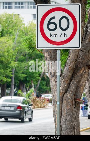 Merida Mexico,Zona Paseo Montejo Centro,traffic sign speed limit 60 km/h kilometers per hour,Mexican Hispanic Latin Latino,Spanish speaking language,Y Stock Photo