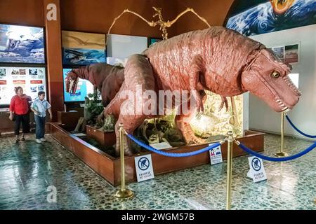 Merida Mexico,Centro,Museo de Historia Natural history museum,inside interior,exhibit exhibits display displays collection,collections gallery galleri Stock Photo