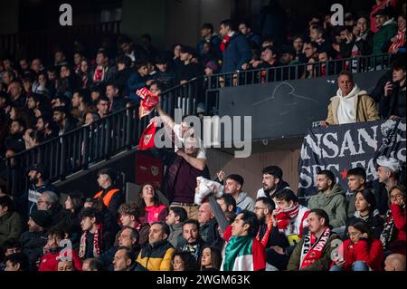 Madrid, Madrid, Spain. 5th Feb, 2024. Sevilla fans seen celebrating a goal during the La Liga EA Sports 2023/24 football match between Rayo Vallecano vs Sevilla at Estadio Vallecas in Madrid, Spain. (Credit Image: © Alberto Gardin/ZUMA Press Wire) EDITORIAL USAGE ONLY! Not for Commercial USAGE! Stock Photo