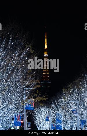 Keyakizaka Illumination in Tokyo, Japan Stock Photo