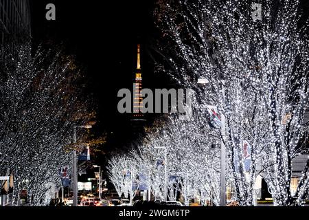 Keyakizaka Illumination in Tokyo, Japan Stock Photo