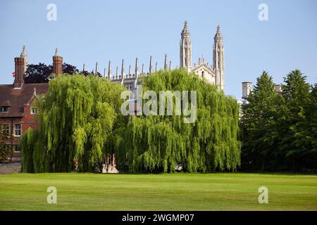The view of the towers of King's college chapel and residential houses from the Brewhouse Lawn in front of New Court of Trinity college. Cambridge. Ca Stock Photo
