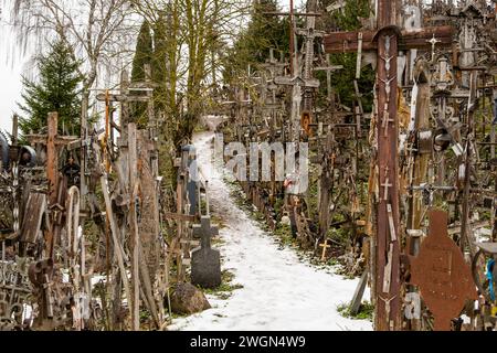 Each cross on Lithuania's Hill of Crosses represents a prayer, a hope, or a vow, creating a tapestry of faith and devotion Stock Photo