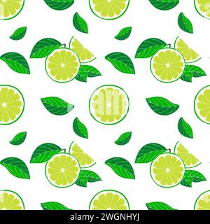 Seamless pattern of freshly sliced Limes and green leaves on white background. Vector illustration Stock Vector