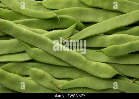Fresh raw green flat beans full frame close up as background Stock Photo