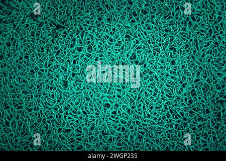 Green synthetic carpet pattern, Top view. texture background Stock Photo