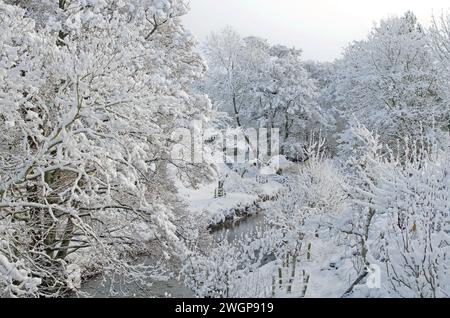 Snow-covered woodland by a stream in rural Cumbria, England, after heavy overnight winter snowfall. Stock Photo