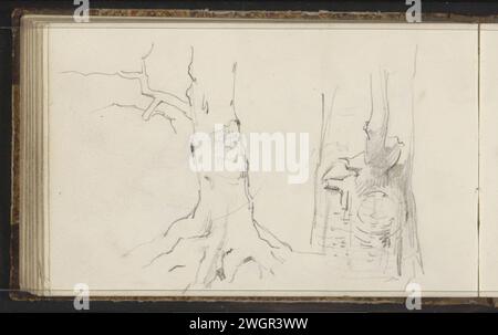 Tree trunks, 1819 - 1849  Leaf 45 Verso from a sketchbook with 60 magazines.  paper. pencil  trees (+ branch, stick) Stock Photo