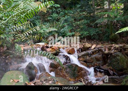 Cafe at Gunung Lambak, Kluang, Malaysia Stock Photo