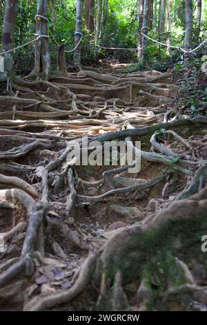 Cafe at Gunung Lambak, Kluang, Malaysia Stock Photo