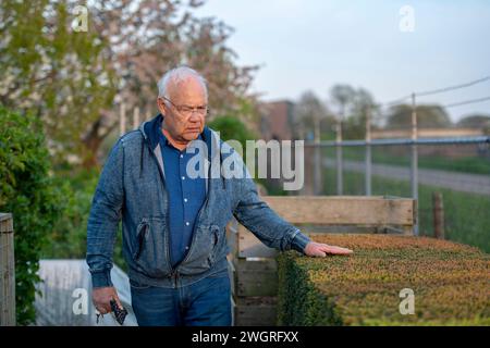 Elderly man standing in his allotment in the early morning Stock Photo