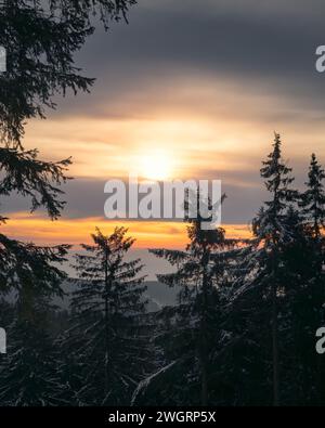 Sunset behind snow-covered trees in a serene forest Stock Photo