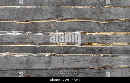 Texture of an old fence made of gray wooden boards Stock Photo