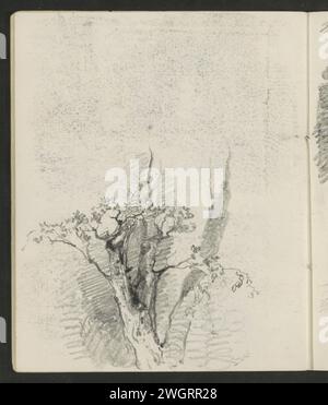Tree in leaf, 1858  Page 16 Verso from a sketchbook with 19 sheets.  paper. pencil  trees Stock Photo