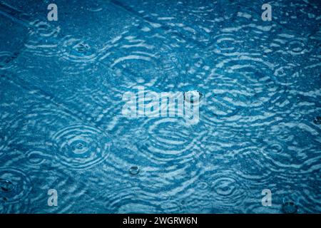 Water drops with rings of waves. Abstract background of falling raindrops. Stock Photo