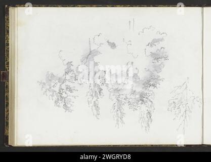 Trees, 1839 - 1894  Leaf 45 Verso from a sketchbook with 51 sheets.  paper. pencil  trees Stock Photo