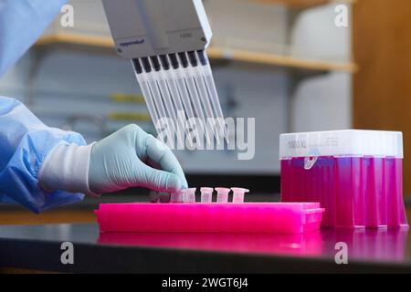 Tools and containers in a medical lab, work being done with pipette and samples Stock Photo