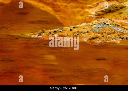 Striking layers of earth and a vivid streak of red water line the cracked ground of the Rio Tinto Stock Photo