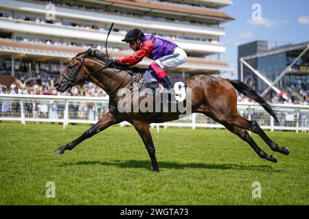 File photo dated 16-07-2021 of Reach For The Moon. All eyes will be on Reach For The Moon when he makes his hurdling debut at Sedgefield on Wednesday. Issue date: Tuesday February 6, 2024. Stock Photo