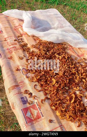 Organic homemade dried pear on the table in the garden Stock Photo