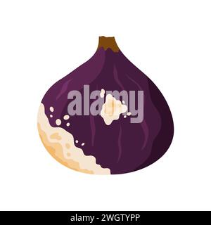 Old rotten fig fruit. Bad old unhealthy food, moldy expired product, organic garbage cartoon vector illustration Stock Vector