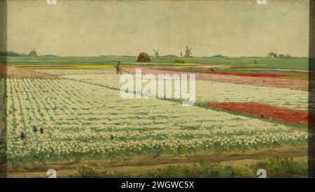 Tulip Fields, Gerrit Willem Dijsselhof, 1890 - 1922 painting Tulip fields. View over tulip fields in the Bollenstreek. In the distance some workers, on the horizon windmills.  panel. oil paint (paint)  field filled with a crop. bulb field. flowers Stock Photo