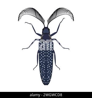 Beetle with antennae and texture on wings, top view of bug and insect pest vector illustration Stock Vector