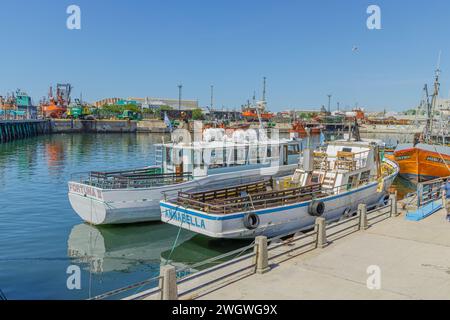 Mar del Plata, Argentina - January 15th, 2024: Passenger boats in the port of Mar del Plata in Buenos Aires. Stock Photo