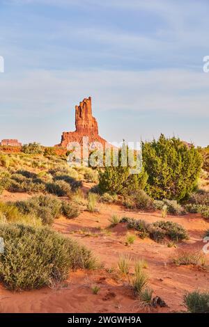 Golden Hour Glow on Monument Valley Butte with Desert Flora Stock Photo
