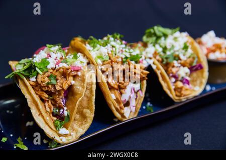 Colorful Chicken Tacos on Dark Blue Plate, Eye-Level View Stock Photo