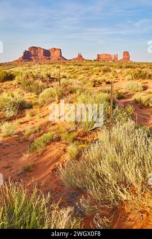 Monument Valley Red Rocks and Desert Flora at Sunset Stock Photo