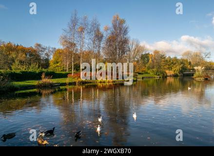 Autumn colour in Alexandra Park Stock Photo