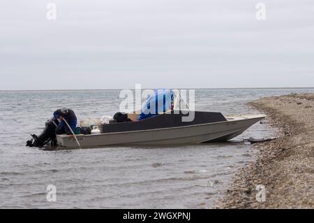 Bruce Inglangasak fish camp smoking broad whitefish  Coregonus nasus at camp anwr 1002 coastal plain anwr arctic alaska Stock Photo